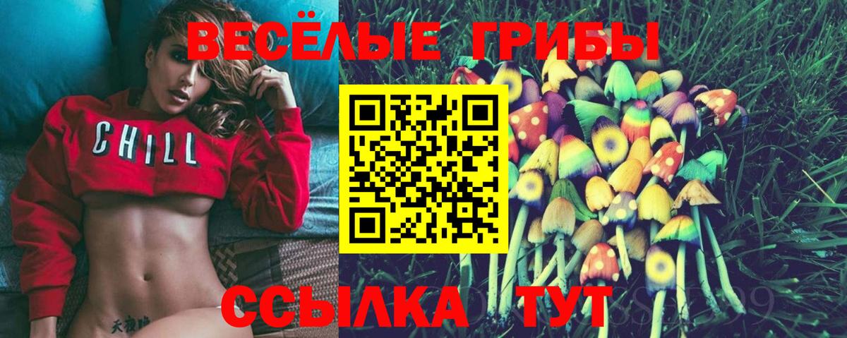 Галлюциногенные грибы Magic Shrooms Феодосия